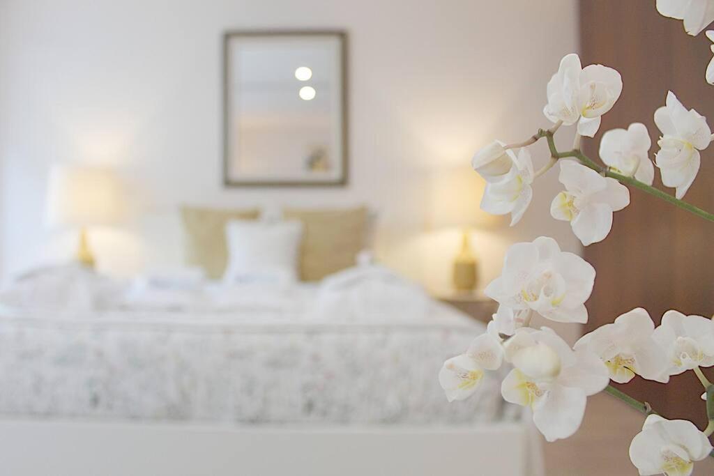 Oliveiras Charming Apartment Downtown Porto Buitenkant foto